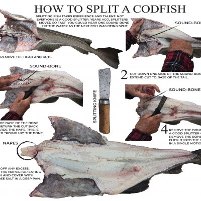 How to Split a Codfish