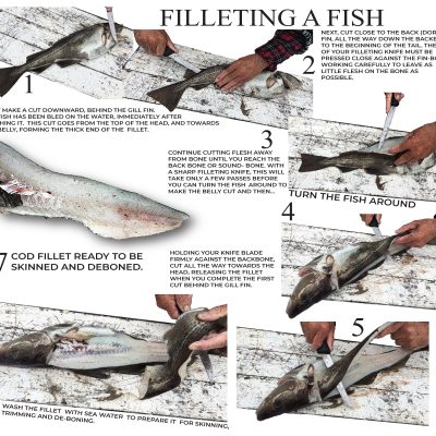 Filleting a Fish