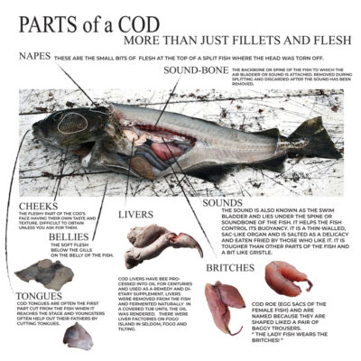 Parts of a Cod